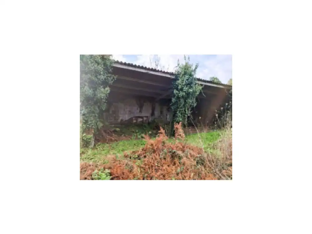 Jardín de Casa o chalet en venta en Silleda