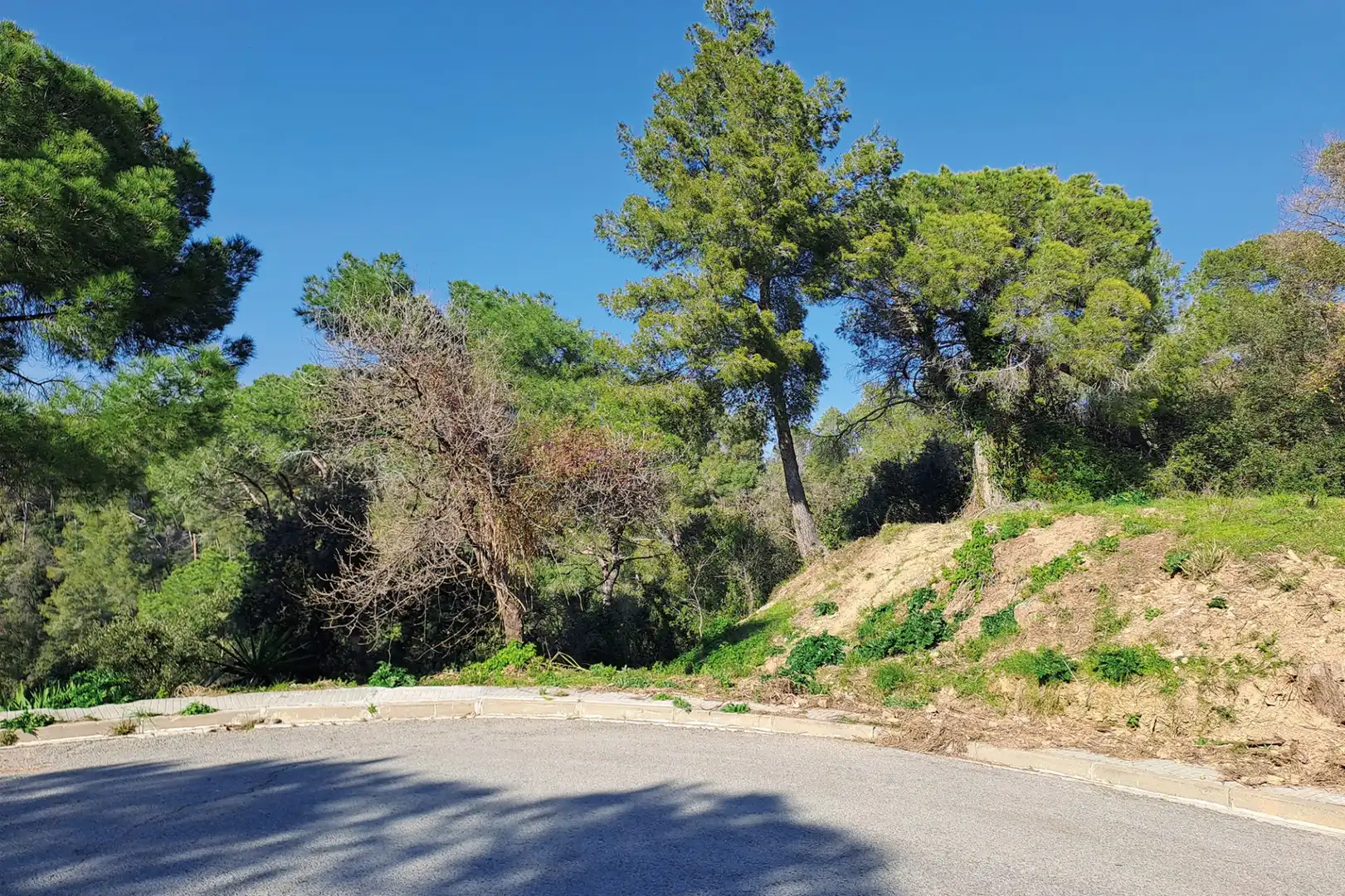 Lands and plots for sale in CANIGO, imagen 5
