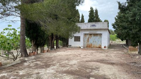 Foto 3 de Finca rústica en venda a El Palomar, Valencia