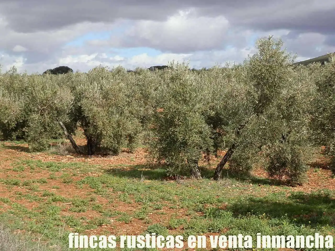 Rural land for sale in Valdepeñas, imagen 5