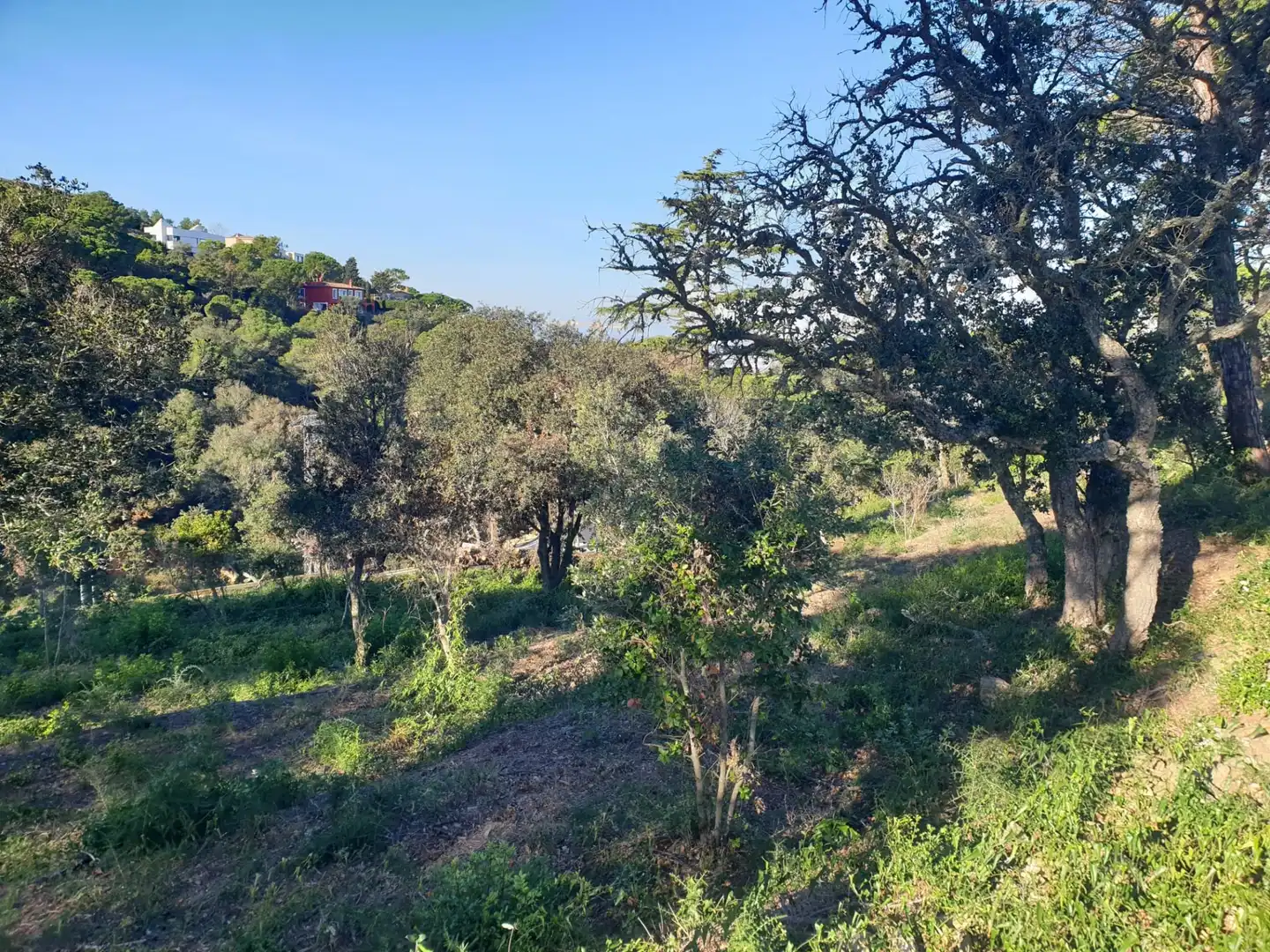 Terrenos y solares en venta en Begur pueblo, imagen 10