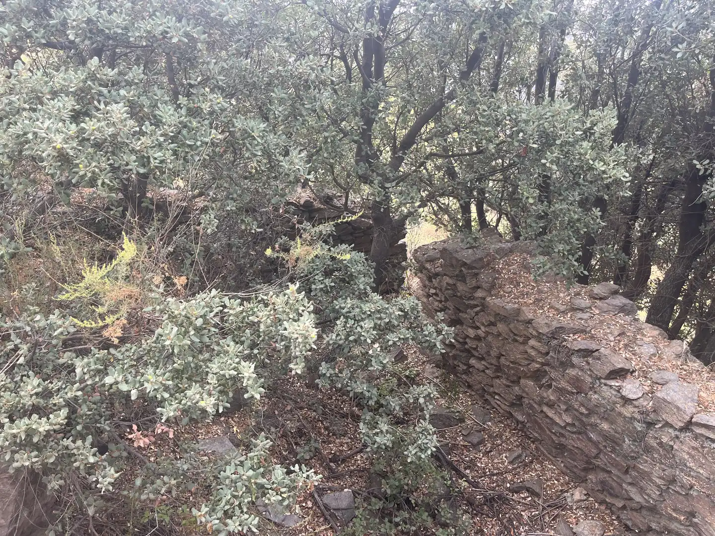 Terreno en venta en La Taha