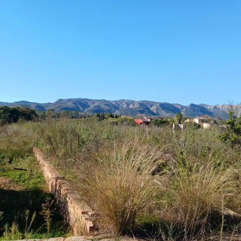 Terreny rústic en venda a Partida Cova Negra, imagen 16