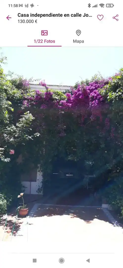 Jardín de Casa o chalet en venta en Almendral con Jardín privado, Trastero y Horno