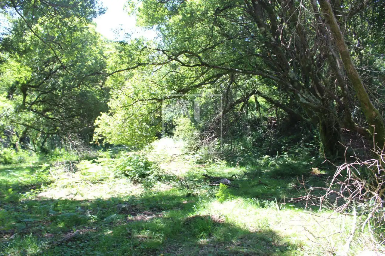 Xalet amb jardí en venda a Tomiño, imagen 3