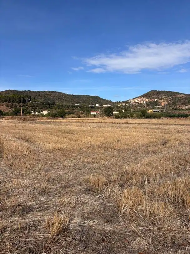 Terreny rústic en venda a Barrio del Cinca, imagen 3