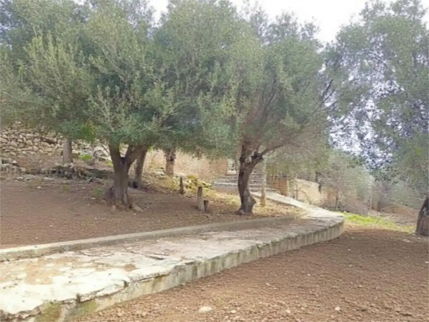 Piso en venta en Campanet con Jardín privado, Trastero y Piscina