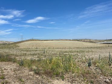 Terreno rustico in affitto a Camino de Bayona 208