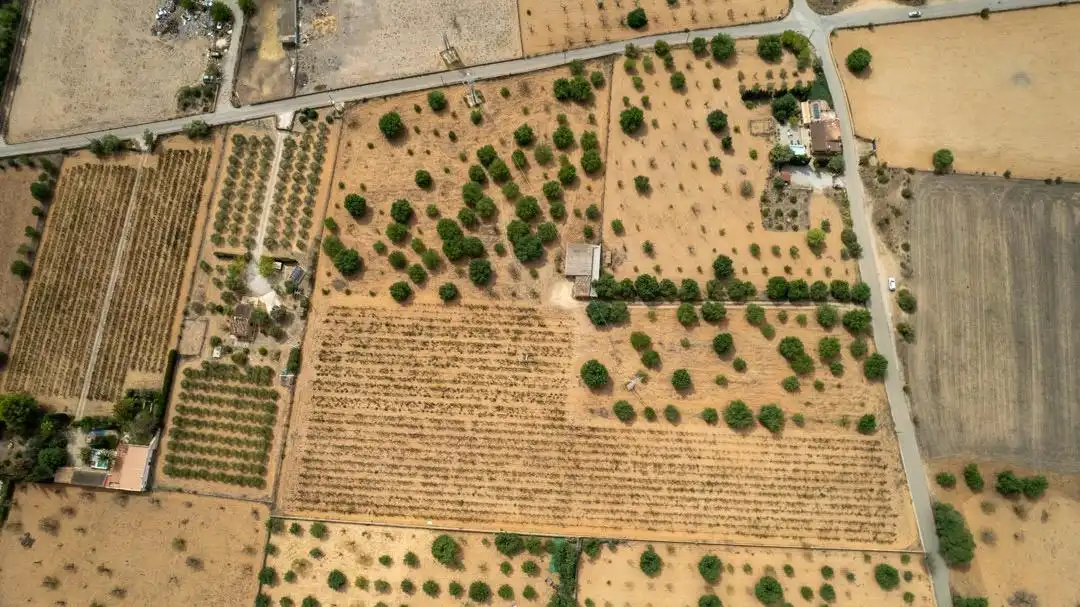 Land for sale in Consell