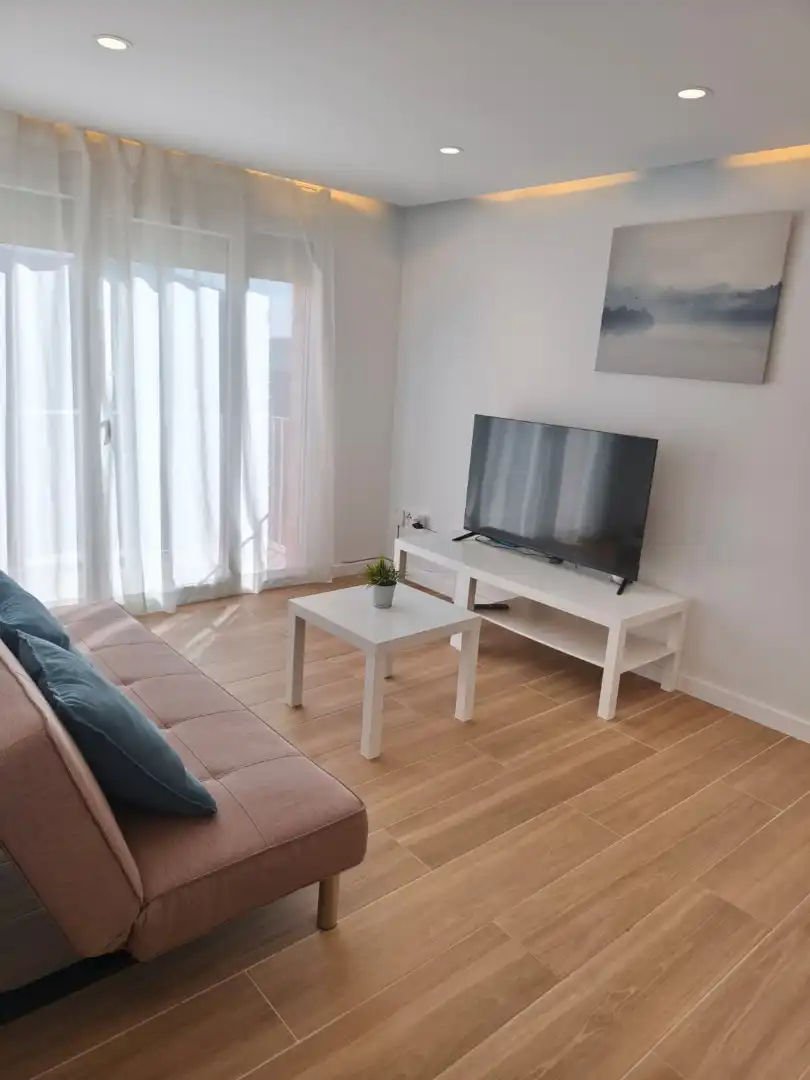 Living room of Attic for rent in Terrassa  with Furnished, Oven and Washing machine