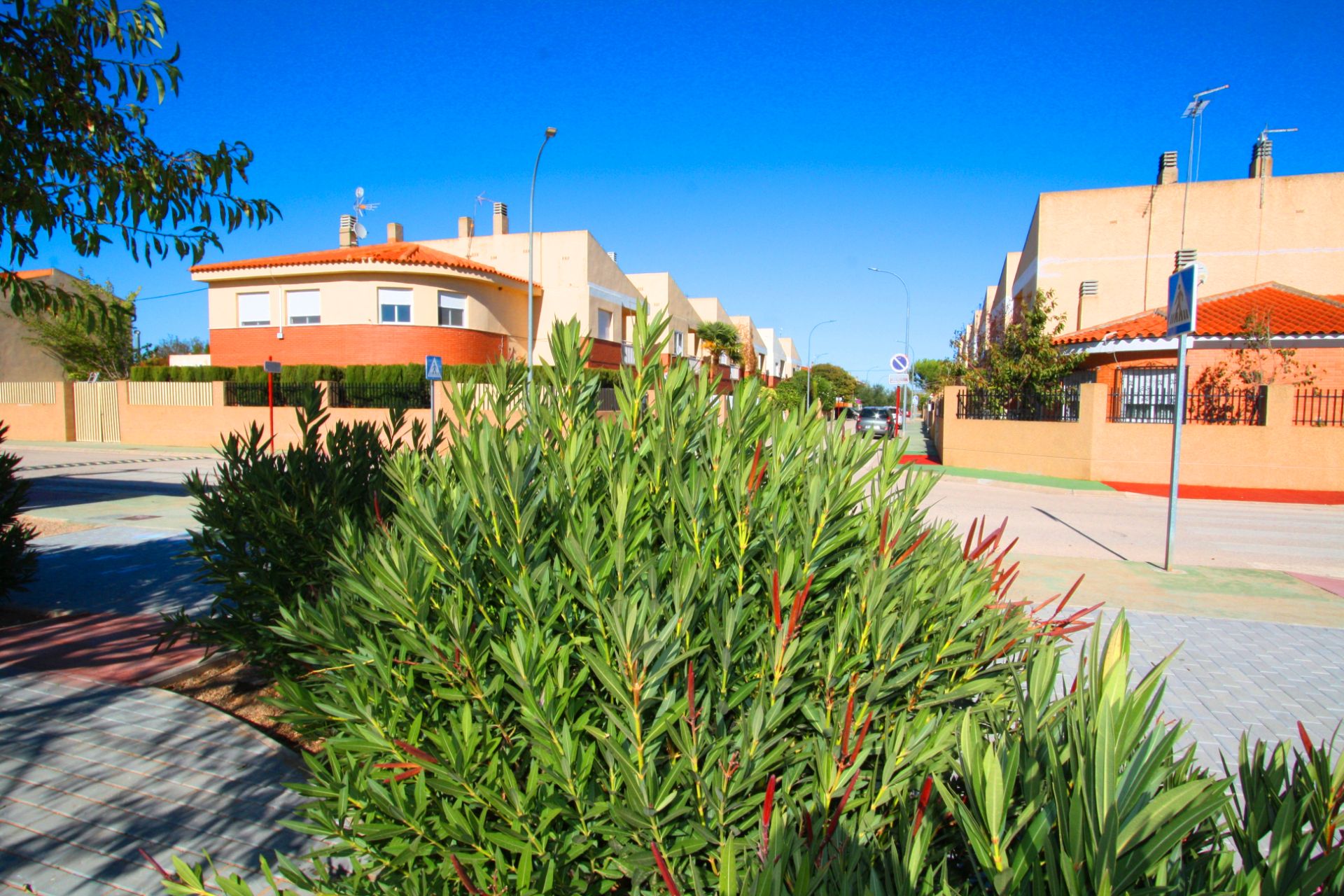 Single-family semi-detached for sale in Calle Benjamín Palencia, 13, La Gineta