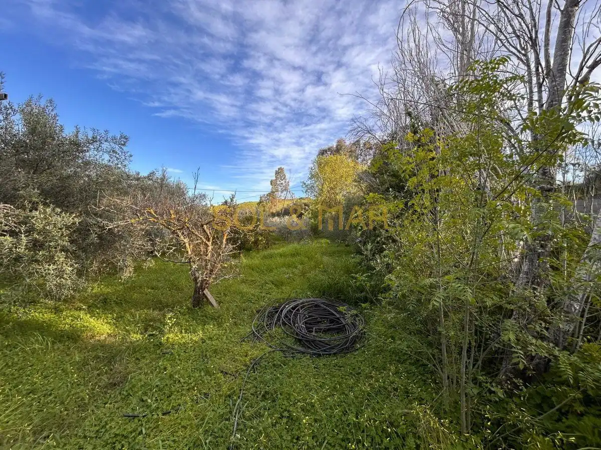 Casa rústica en venta en Nueva Aljaima - Las Tres Leguas - Los Mondeños, imagen 5
