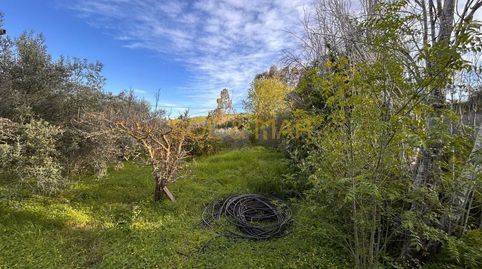 Foto 3 de Finca rústica en venta en N/a, Nueva Aljaima - Las Tres Leguas - Los Mondeños, Cártama