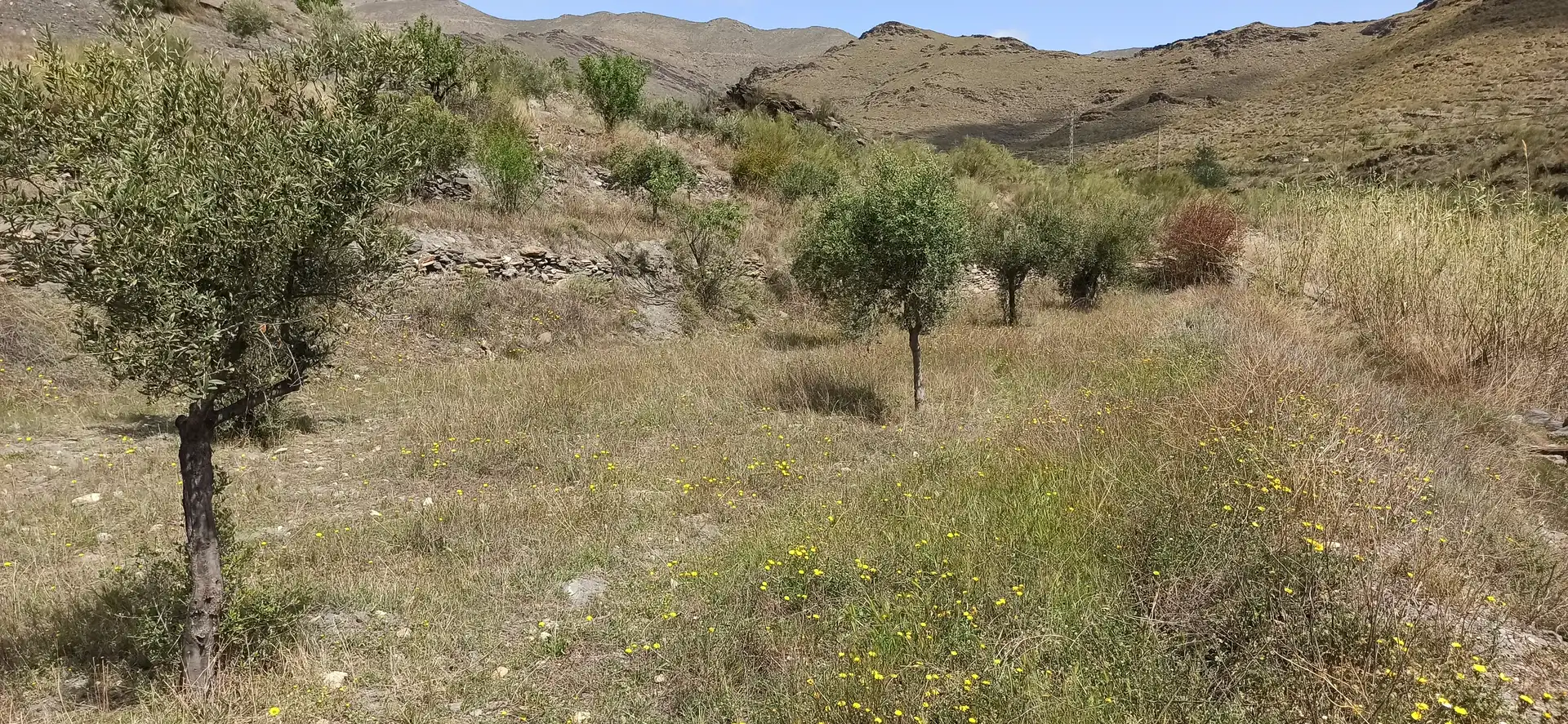 Rustikales Grundstück zum Verkauf in Calle El Almendro 5, imagen 7