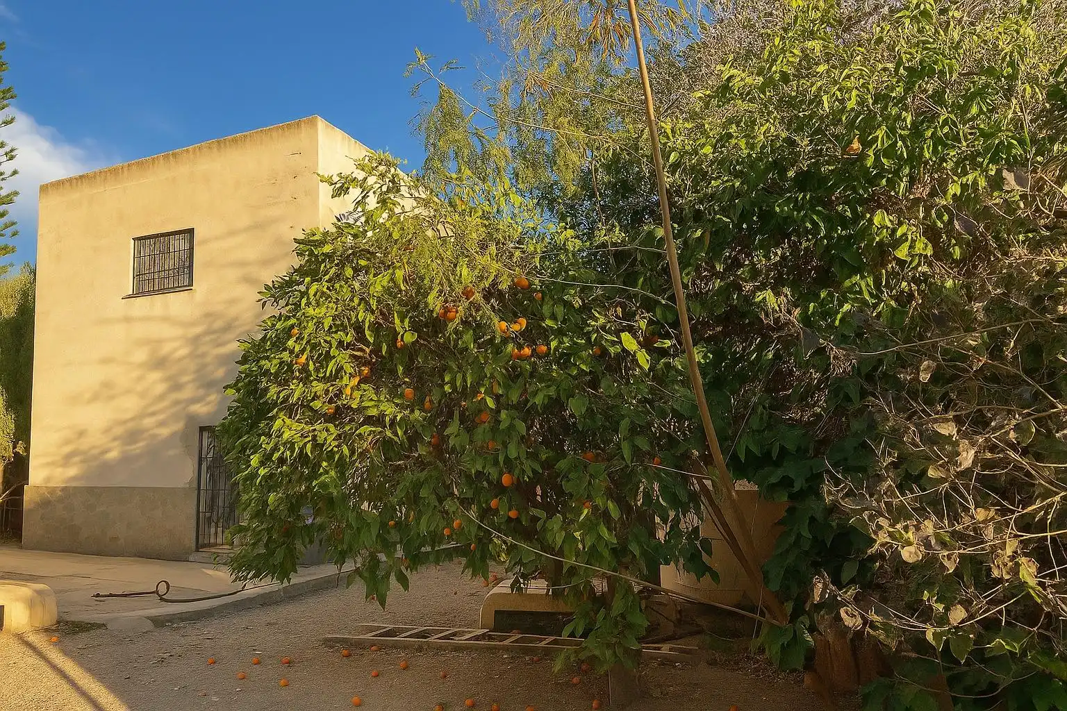 Exterior view of Country homes for sale in Pechina