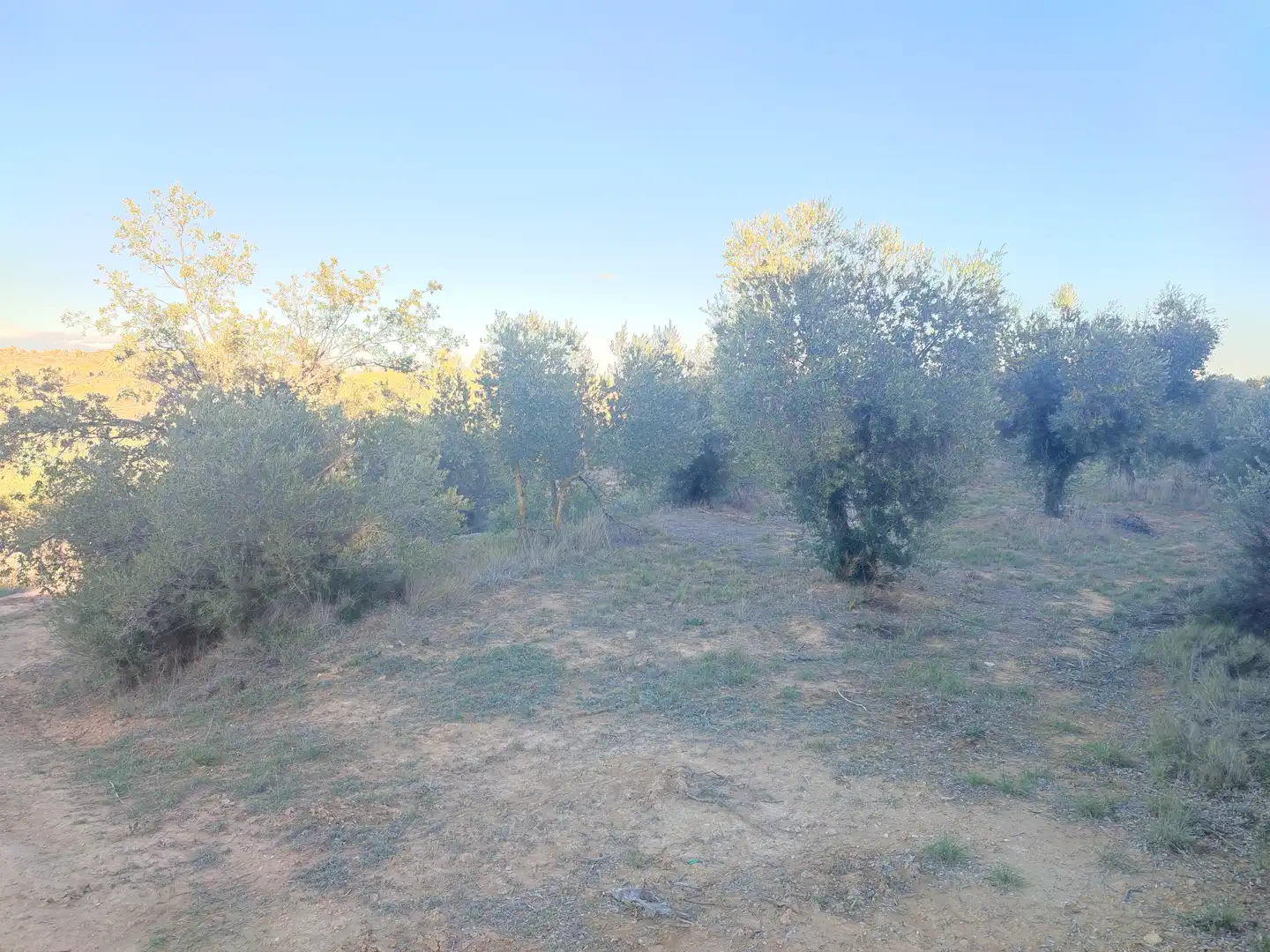 Terreno rústico en venta en L'Albagés, imagen 41