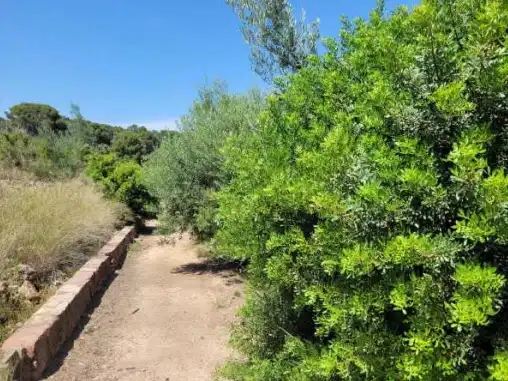 Rural land for sale in Pt Casalet, Pol 7, imagen 7