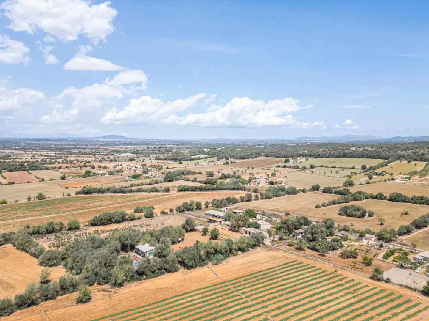 Terreno rustico in vendita a Felanitx Poble, imagen 16