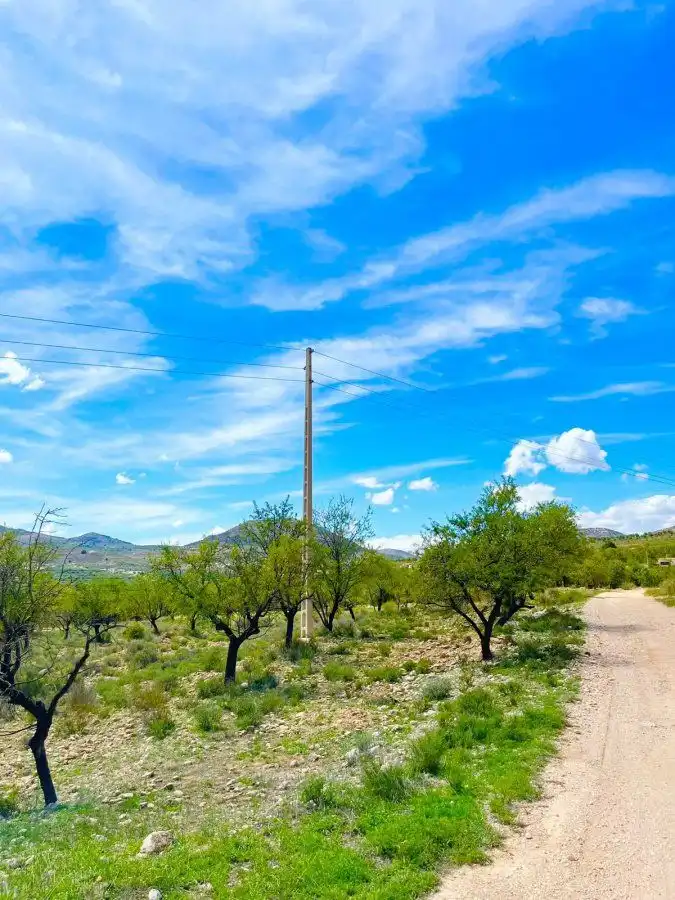 Terrenos y solares en venta en Vélez-Blanco, imagen 11