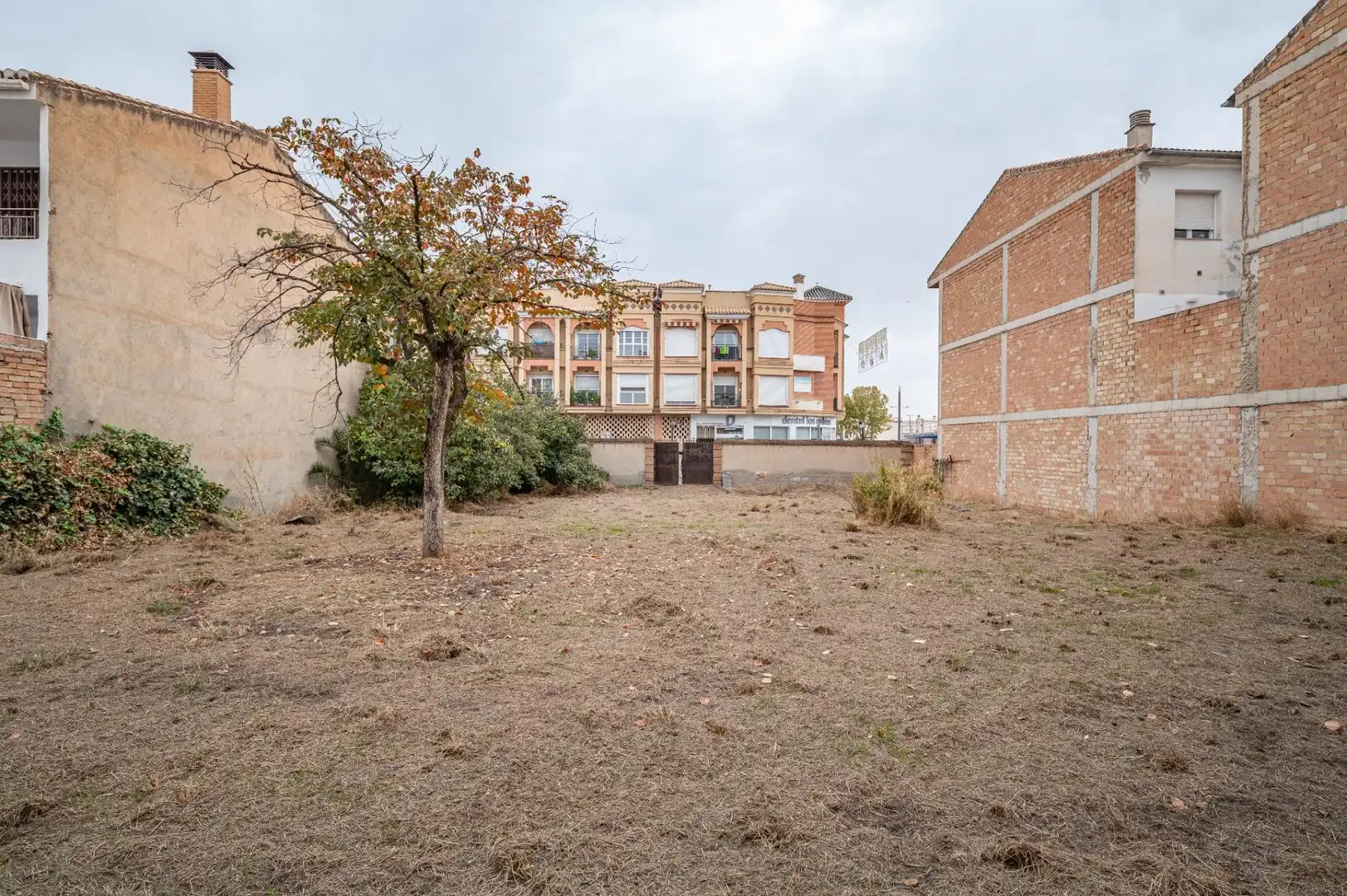Terrenos y solares en venta en Las Flores - Huerta, imagen 14