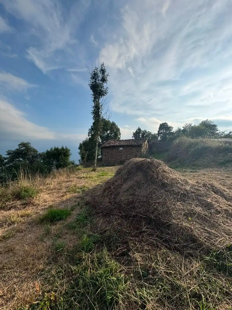 Maison rustique à vendre à Quirós, imagen 22