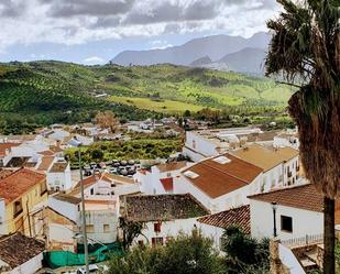 Vista exterior de Casa o xalet en venda en Algodonales amb Terrassa, Traster i Balcó