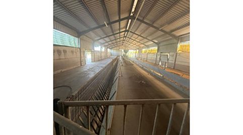 Nave industrial en venta en Úbeda, image 4