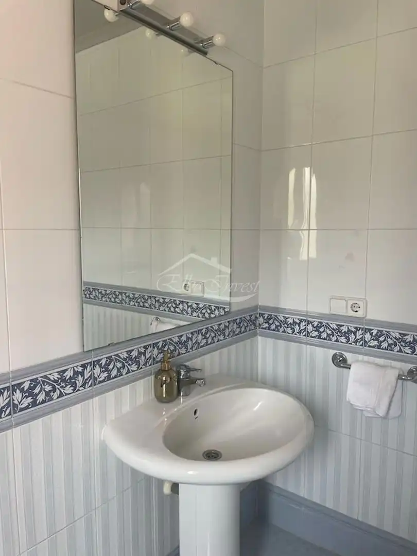 Bathroom of Detached homes for sale in Adeje  with Private garden, Terrace and Storage room