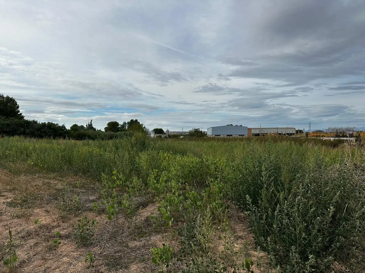 Land for sale in Albatàrrec