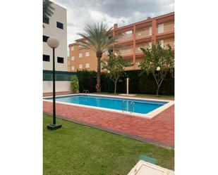 Swimming pool of Flat to rent in El Campello  with Air Conditioner, Terrace and Swimming Pool