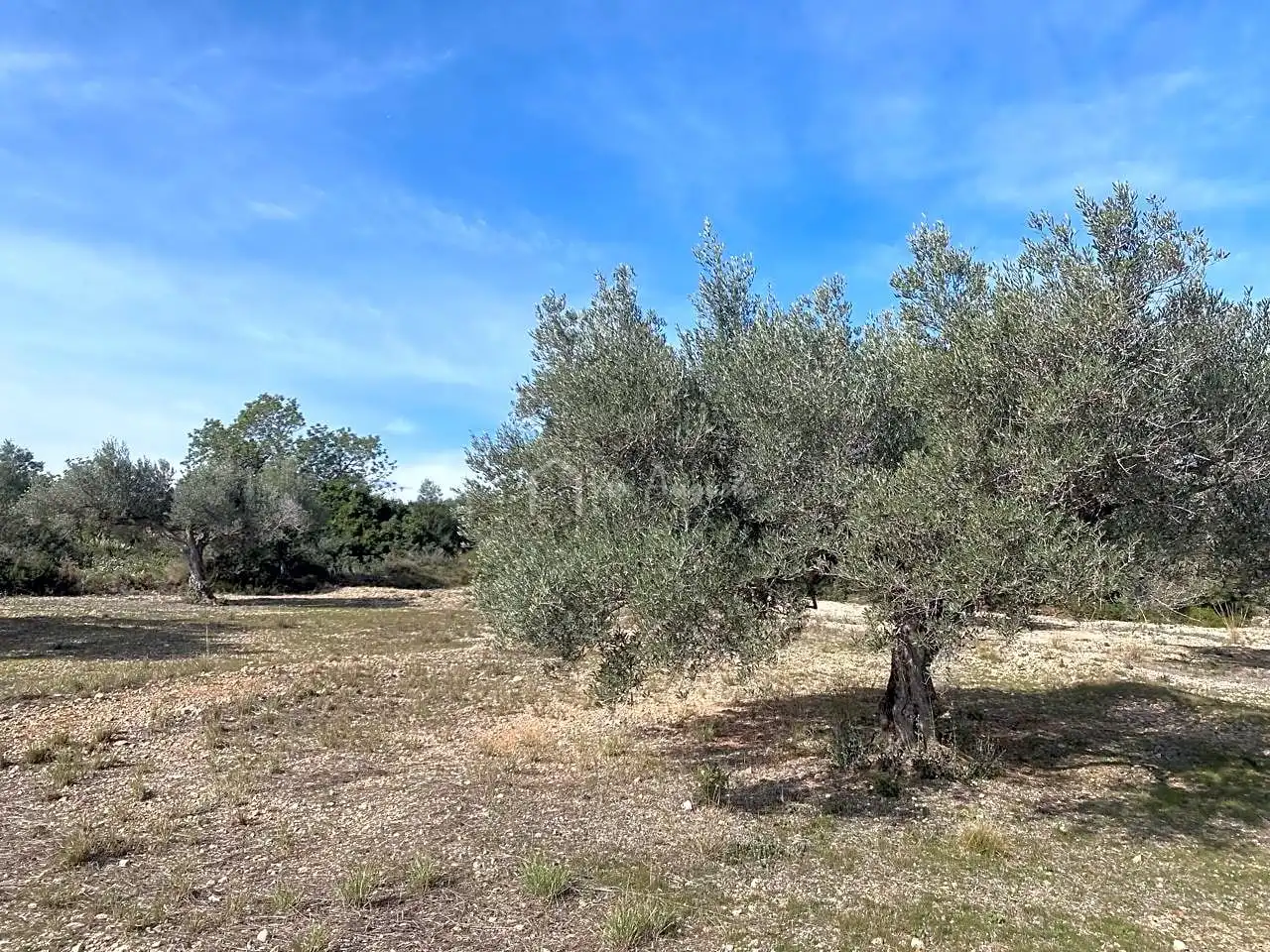 Terreno rustico in vendita a Planas, imagen 18