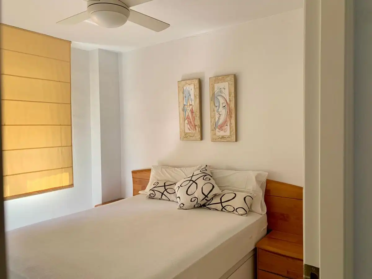 Apartamento con terraza en alquiler en San Gabriel - Palmeral - Urbanova, imagen 11