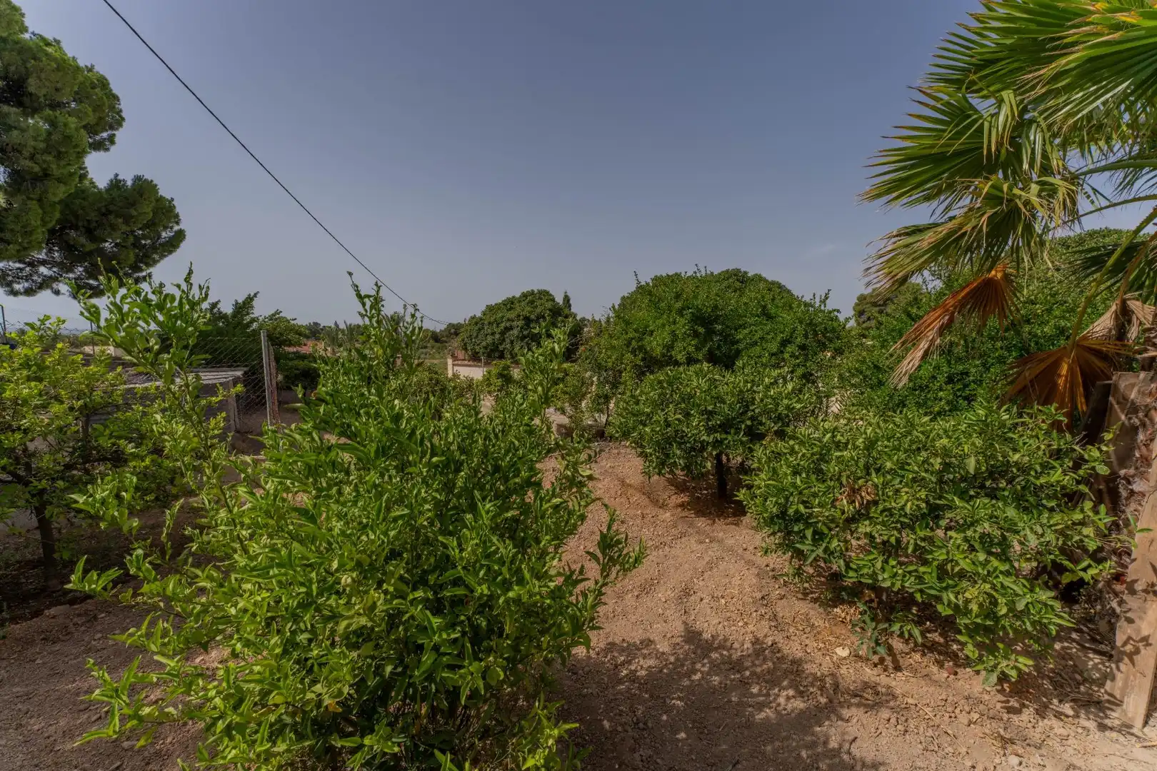 Casa o chalet en venta en Elche / Elx con Aire acondicionado, Jardín privado y Piscina