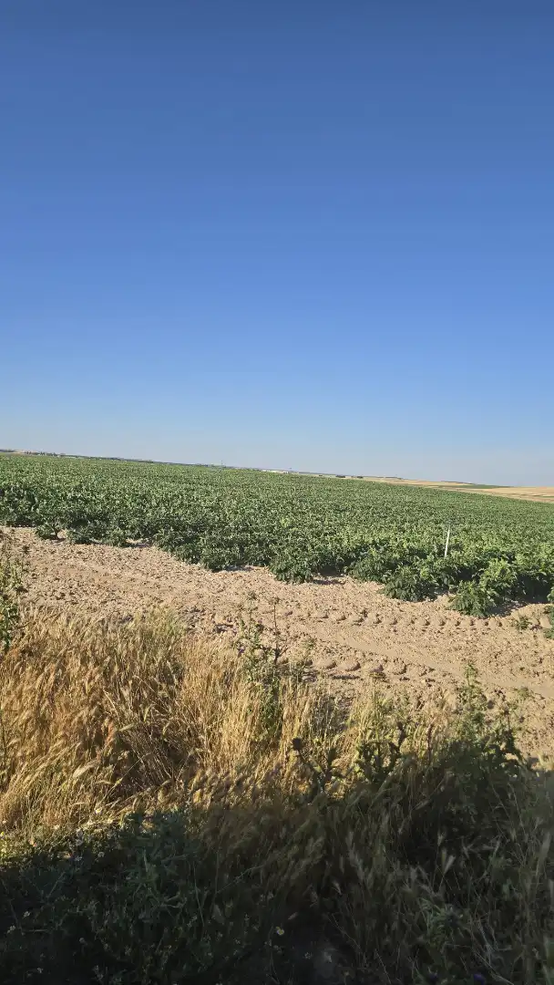 Terreno rustico in vendita a Ontígola