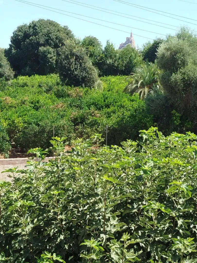 Houses for sale in Murcia  with Private garden and Terrace