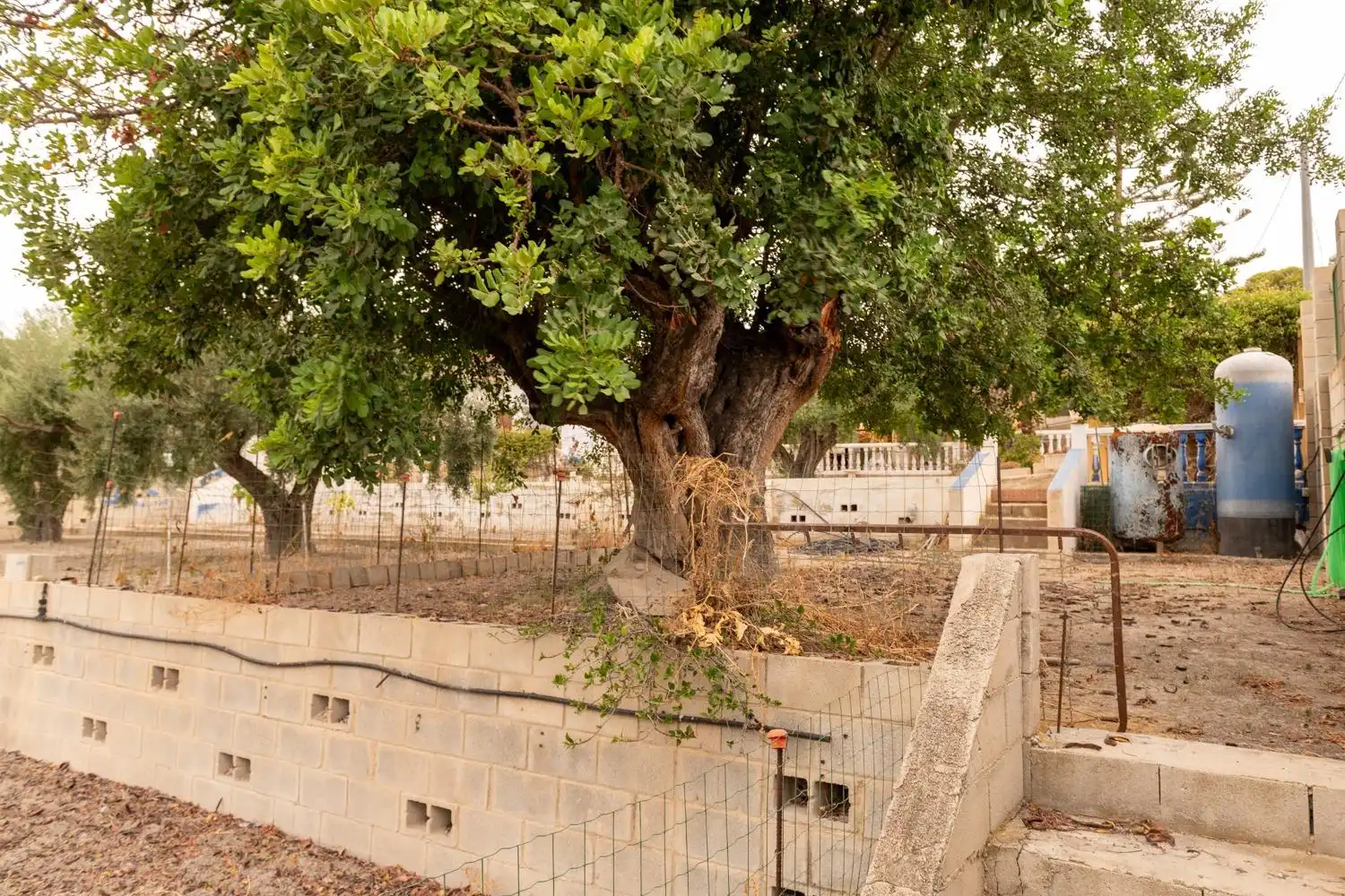 Vista exterior de Casa o xalet en venda en Alicante / Alacant amb Aire condicionat, Calefacció i Jardí privat