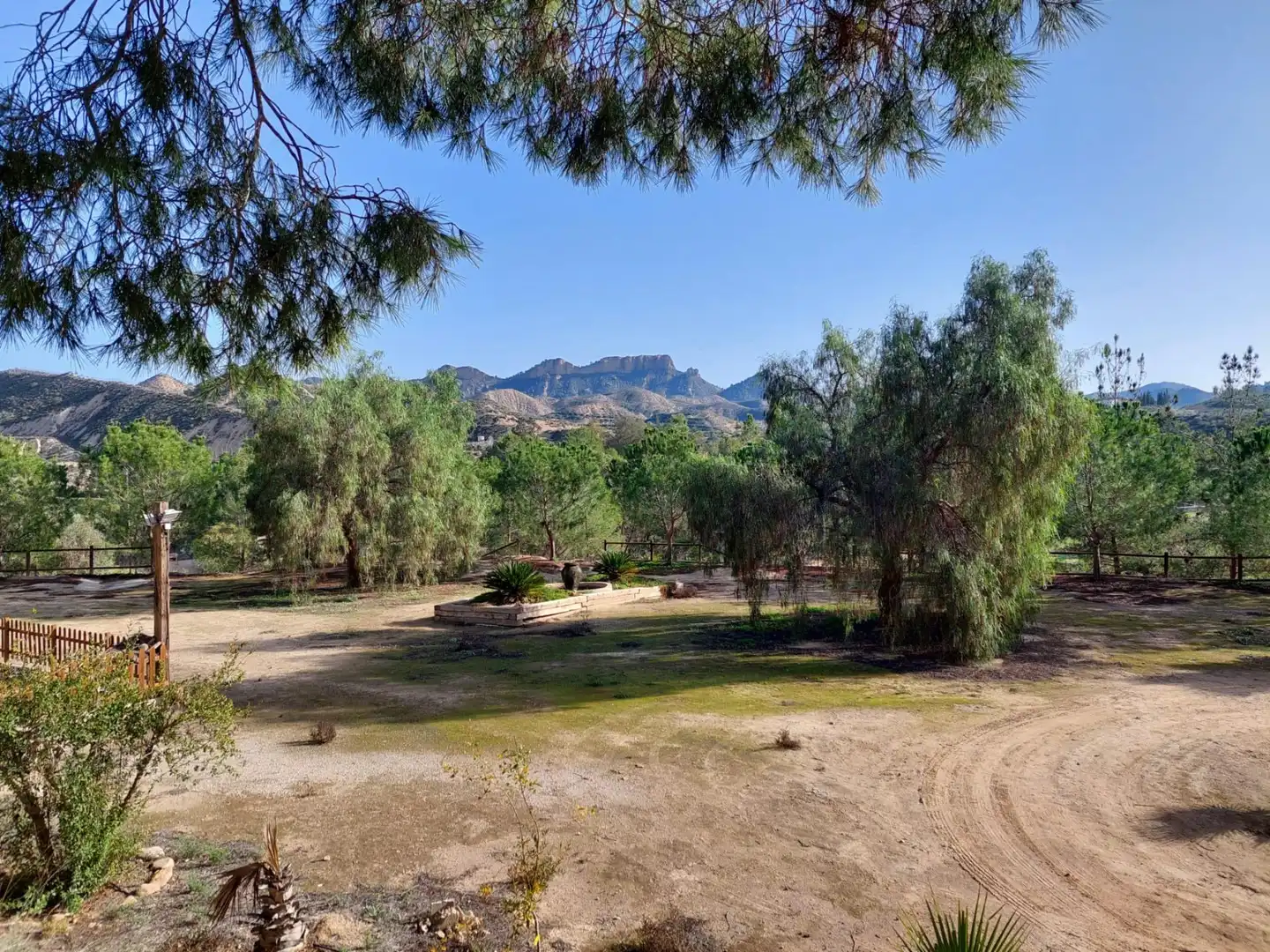 Garden of Country homes for sale in Murcia  with Air Conditioner, Heating and Private garden