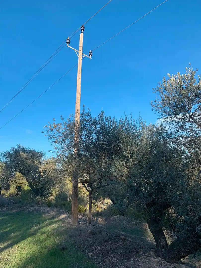 Terrain rustique à vendre à Avinguda Lluís Companys, imagen 4