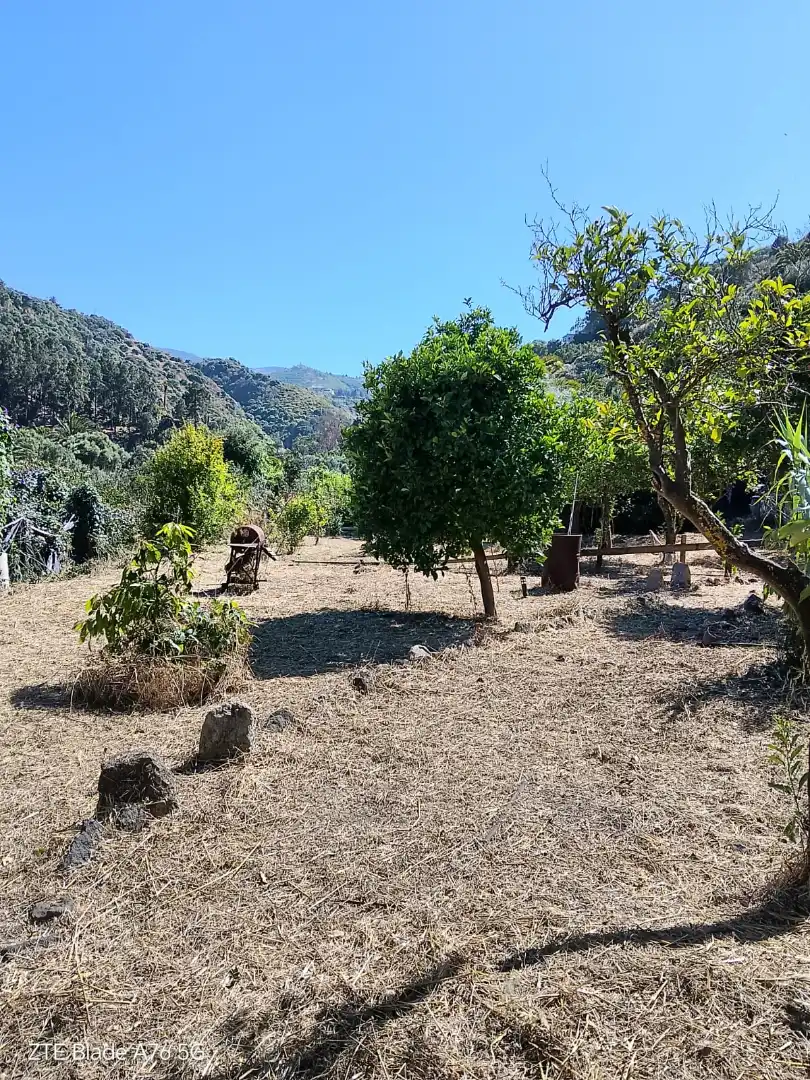 Finca rústica en venda en Santa Brígida
