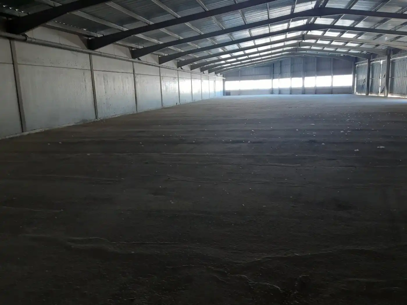 Nave industrial en venta en Sax, imagen 4