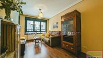 Living room of Flat for sale in Mieres (Asturias)  with Heating and Storage room