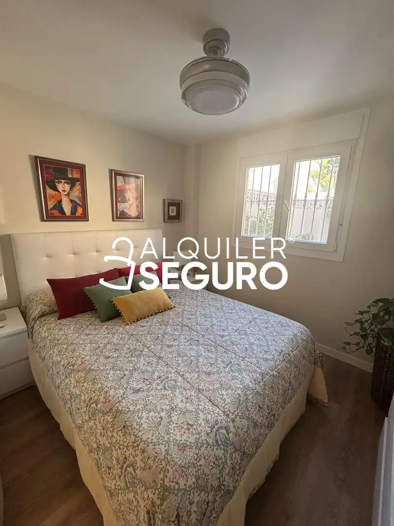 Detached house with pool to rent in Escritor busto previ, imagen 12