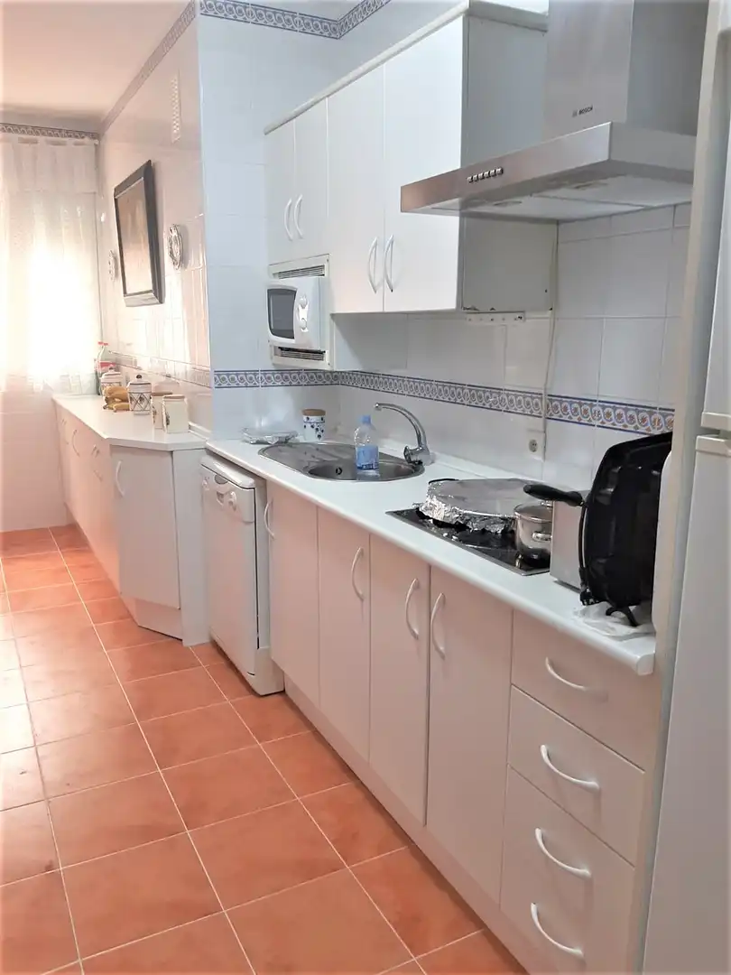 Apartments for rent in Centro