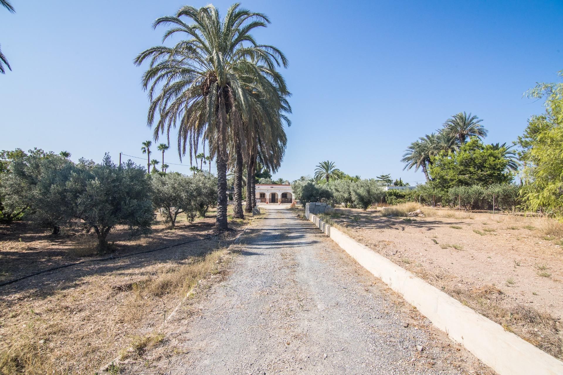 Vista exterior de Casa o xalet en venda en Elche / Elx amb Aire condicionat, Calefacció i Jardí privat