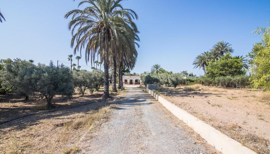 Foto 1 de Casa o chalet en venta en Valverde, Alicante