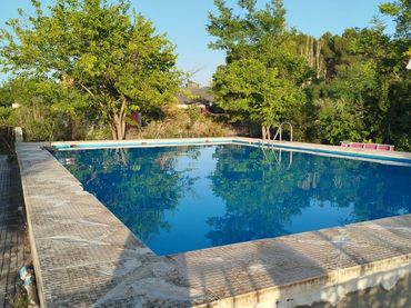 Maison avec piscine à vendre à Salinas