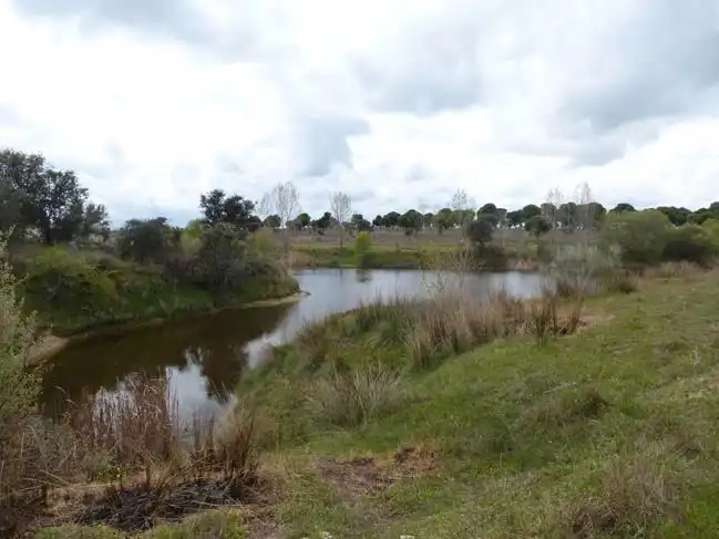 Land for sale in Talavera de la Reina