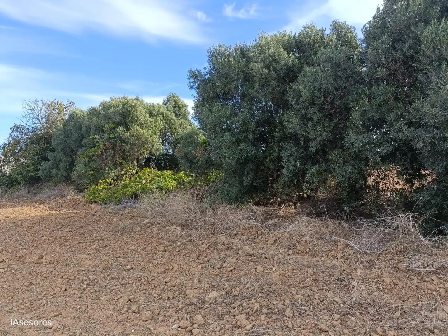 Country homes for sale in Puerto Real