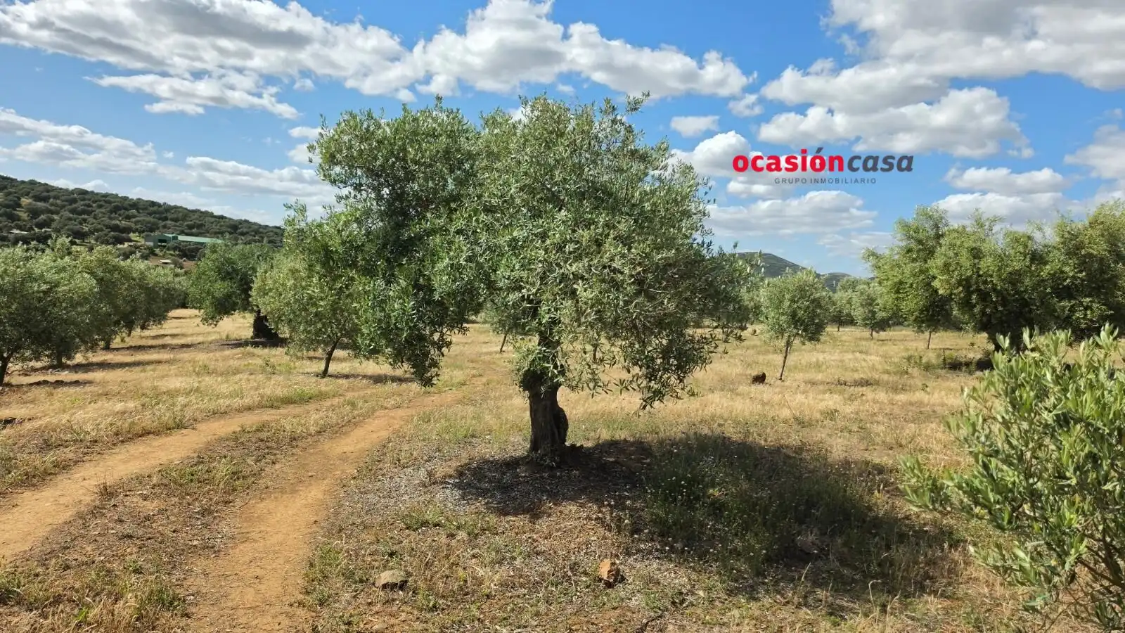 Residential land for sale in Fuente Obejuna, imagen 10