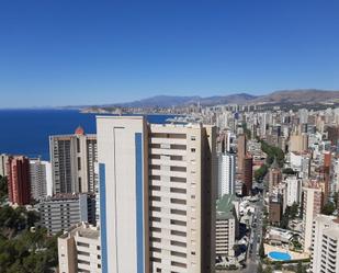 Vista exterior de Apartament en venda en Benidorm amb Aire condicionat, Calefacció i Jardí privat